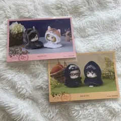 ハイキュー!! ポストカード 2枚セット　るかっぷ展