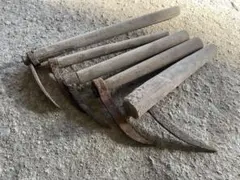 Item thumbnail for item 37b6afb5-f926-4424-accb-89ffcc6485bd