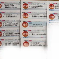 カラーテスト　社会　新学社　5年のサムネイル