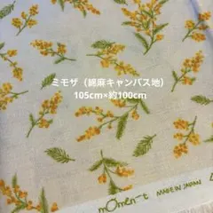 ミモザ生地　綿麻キャンバス　生成り　ナチュラル