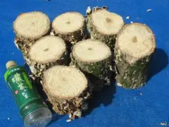 Item thumbnail for item b5ac3869-f7ce-4723-96df-a41c5e10c66d