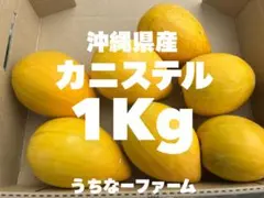 まもなく終了！沖縄県産 カニステル 1Kg(仙桃)のサムネイル