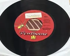 2026年最新】PENTHOUSE レコードの人気アイテム - メルカリ