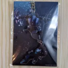 名探偵コナン　黒鉄の魚影　コナン＆灰原　アクキー