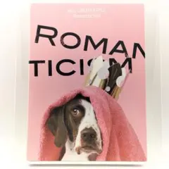 Item thumbnail for item 77a48d03-336e-4fd5-8bec-f7a60a5a329e