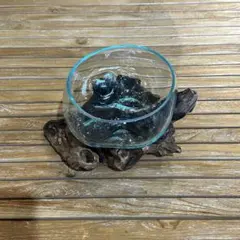【送料込】バリ島流木ガラス ガラスΦ20cm前後 苔リウム202Bアクアリウム