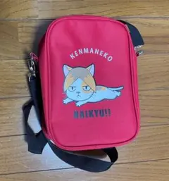 ハイキュー　ケンマネコ　孤爪研磨　しまむらコラボ　カバン
