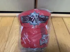 2026年最新】釣武者 キャップの人気アイテム - メルカリ