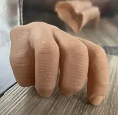 みや様専用 ラクーン基礎訓練&第三の手