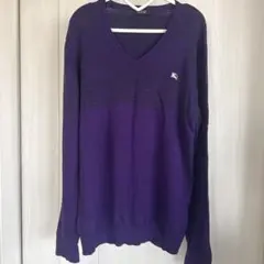 紫 Vネックセーター