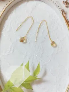 No.1294 アメリカンピアス ゴールデンシャドウ