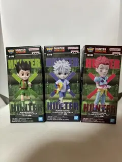 HUNTER×HUNTER ワールドコレクタブルフィギュア-ハンター試験-