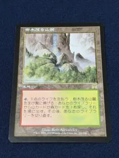 2026年最新】フェッチランドの人気アイテム - メルカリ