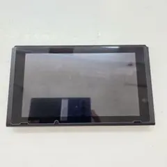 Nintendo Switch Lite ブラック本体 ジャンク品 Nintendo Switch lite (ジャンク品) 良質 Legacy Zero/ZX Man