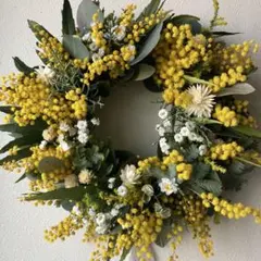 銀葉ミモザとかすみ草のリース　貝細工　ユーカリ　春を呼ぶ
