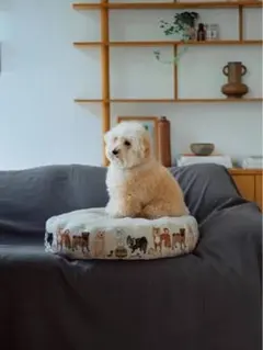 Item thumbnail for item ac408580-447c-47b5-ac47-8978949e0fed