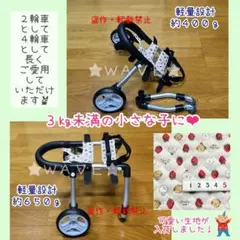 Item thumbnail for item d3e17e90-aece-4124-995c-f60d44ee0bfd