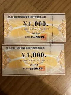 ビックカメラ 株主優待券 ¥1,000 2枚