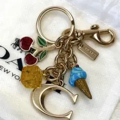 極美品】COACH チャーム チェリー 恐竜 花 ゴールド 保存袋付き - メルカリ