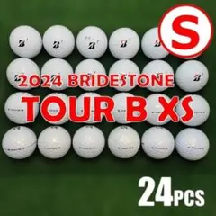 S111】Titleist PRO V1X 白 23年 ロストボール 24球 - メルカリ