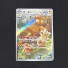 2026年最新】パーモット arの人気アイテム - メルカリ