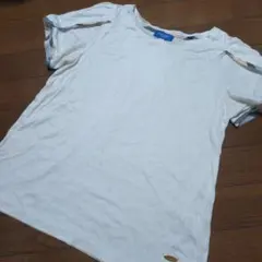 ブルーレーベル クレストブリッジ フリル スリーブ Tシャツ カットソー