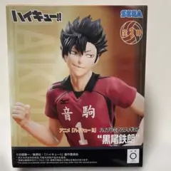 ハイキュー!! 黒尾鉄朗 ハイプレミアムフィギュア