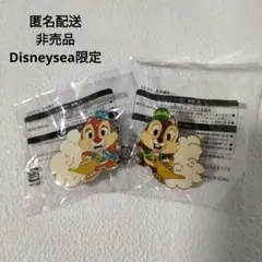 非売品 アラビアンコースト チップ デール ピンバッジ ディズニーシー
