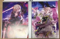 FGO 最終再臨画集Ⅰ Ⅱ 謎のヒロインX オルタ