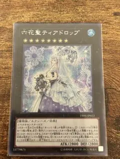 2026年最新】六花聖ティアドロップの人気アイテム - メルカリ