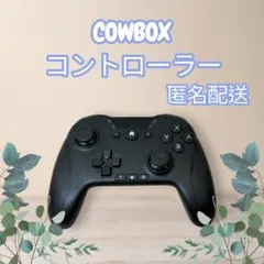 COWBOXワイヤレスコントローラー HD-6500 黒