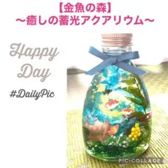 【金魚の森】〜❄︎癒しのアクアリウム❄︎〜❤︎蓄光ホログラム＆夜光石in❤︎