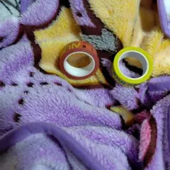 Item thumbnail for item 5fa62013-8bba-4970-9357-9dd19cca9eda