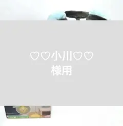 ちいかわ【モモンガ／運んで‥BIGぬい】【うさぎ／黒猫ぬい・USBライト】