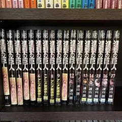九条の大罪 1巻〜13巻 6巻抜け 非全巻セット s2025 630 841 - メルカリ