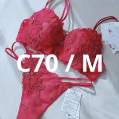 上美品 LALA グラントイーワンズ ララ ニッパービスチェ D70 885