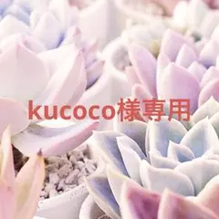 kucoco様 リクエスト 3点 まとめ商品