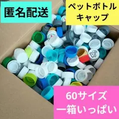 ペットボトルキャップ　60サイズ一箱