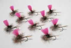 Item thumbnail for item 5e913cdc-993e-4850-8d0a-ea8216dc9c3b