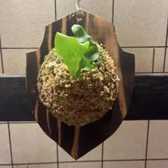 2026年最新】GINKAの人気アイテム - メルカリ