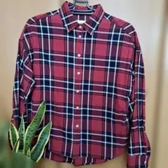 レディースシャツ