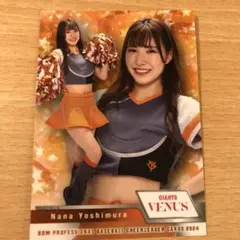 Item thumbnail for item e151a2e9-dcbd-4541-af77-237383b22efb