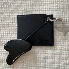 【最終値下げ】shu uemura かっさ プレート ケース付き