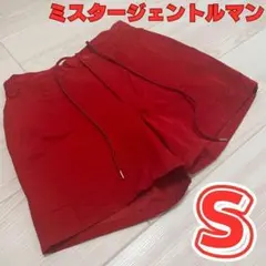 ミスタージェントルマン スイムウェア 水陸両用 ショートパンツ 水着 メンズ 夏