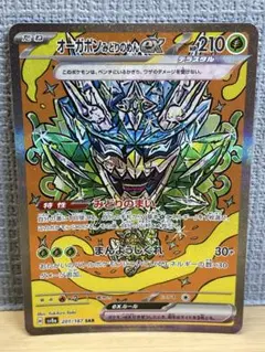 ワンワン買取ノーマルも買取プロフにご確認様 リクエスト 2点 まとめ