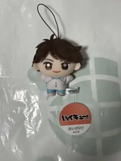新品未使用 及川徹 ハイキュー‼︎ ぬいぷりけmini2⑥