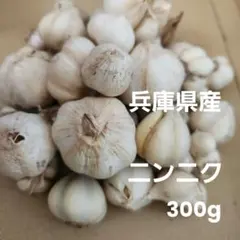 兵庫県産 新にんにく 小粒サイズ 300gのサムネイル