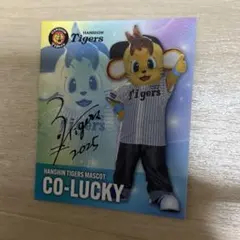 Hanshin Tigers CO-LUCKY サイン入り - メルカリ