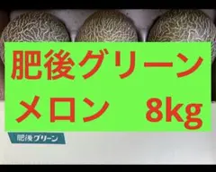 農家応援品　肥後グリーンメロン　8kgのサムネイル