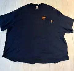 Item thumbnail for item a1c0af1e-fb73-423e-a5e8-09dee3bbe6f8